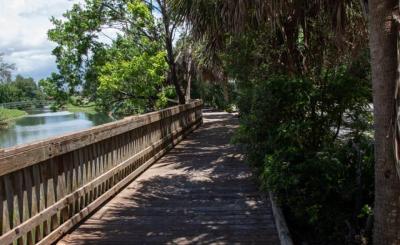 Shady trees cover a bridge on a hot sunny day with glistening waterway to the left of the bridge